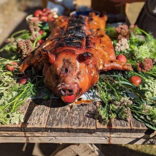 Why it is Good to Have a Pig Roaster at Your Next Gathering